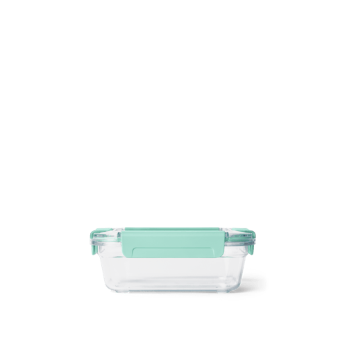 Medium Plastic Food Storage